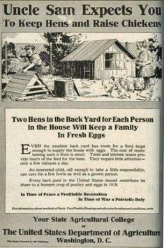 an advertisement for the back yard for each person in their house