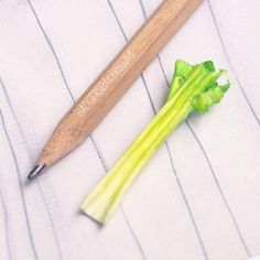 a piece of broccoli sitting next to a wooden pen on a striped cloth