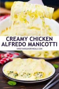 a plate with three chicken alfredo manicotti and one chicken alfreddo manicotti full of cheese Creamy Chicken Manicotti, Recipes With Manicotti Noodles, Chicken Cannelloni Recipes, Quick Chicken Alfredo Recipe, Alfredo Manicotti, Manicotti Casserole, Best Manicotti Recipe, Manicotti Shells, Caneloni Recipe