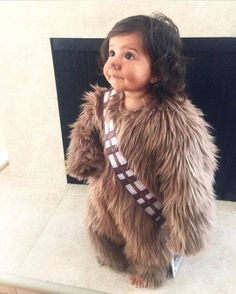 Chewbacca Costume, Costumes For Dogs, Star Wars Halloween Costumes, Star Wars Baby, Halloween 2018