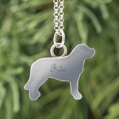 a dog is shown on a silver chain