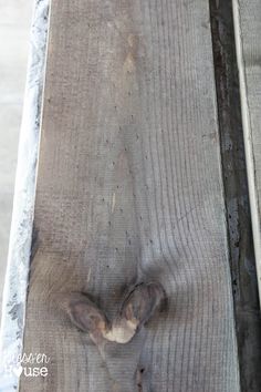 a cat laying on top of a piece of wood