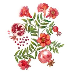 a watercolor painting of pomegranates and leaves