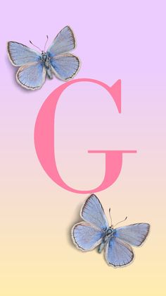 two butterflies sitting on top of the letter g