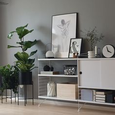 a living room filled with lots of furniture and plants on top of it's shelves