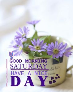 purple flowers are in a white cup with the words good morning saturday have a nice day