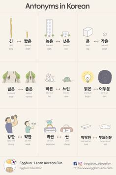 an info sheet showing the different types of korean characters and their names in various languages