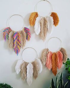 three hoops with feathers hanging from them on a wall next to a potted plant