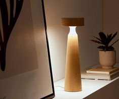 a wooden lamp sitting on top of a white shelf next to a potted plant