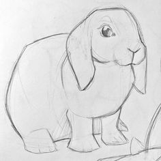 a pencil drawing of a small elephant