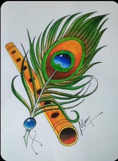 a drawing of a peacock's feather and its feathers are green, orange, and blue