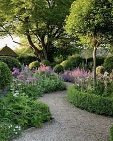 a garden filled with lots of different types of flowers and plants on top of gravel