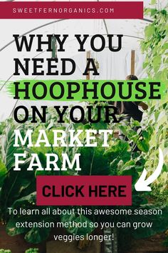 The purpose of a hoophouse is for season extension.
When your growing season is short, such as in Canada, a market gardener must take every means possible to produce as much as possible in the little time we have to do it.
One of our jobs as a market farmer is to find ways to control the growing conditions in order to protect our crops from the cold and frost in both early spring and late fall. Greenhouse Ideas, Late Fall, Early Spring, Pest Control, Making Money