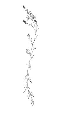 Single Line Vine Tattoo, Fineline Vine Tattoos, Vine Tattoos Back, Line Work Spine Tattoo, Vine Thigh Tattoos Women, Nature Spine Tattoos For Women, Wildflower Vine Tattoo, Vine Drawing Tattoo, Fine Line Vine Tattoo