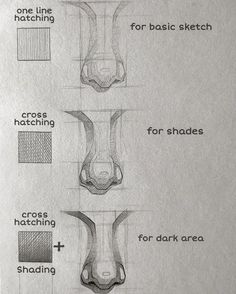 the diagram shows how to draw an animal's nose with different shapes and sizes