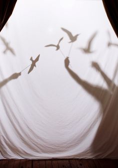 two birds are flying in the air with their shadows on the wall and curtains behind them