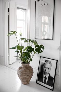 a potted plant sitting on top of a white table next to a framed photo