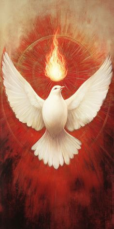 a white dove with its wings spread out in front of a red and orange background