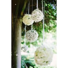 some white flowers hanging from the branches of a tree with words diyvento