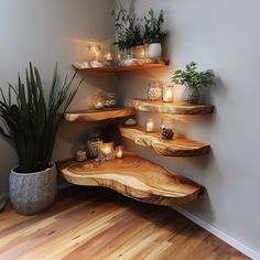 a wooden shelf filled with candles next to a potted plant on top of a hard wood floor