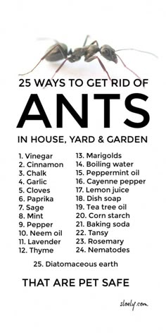 the 25 ways to get rid of ants in house yard and garden info sheet for pest control