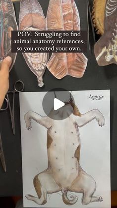 a person is holding up an image of a human body with the caption pov struggling to find animal anatomy references so you created your own