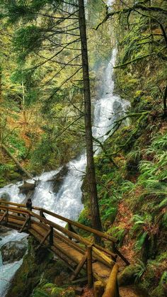 a person standing on a wooden bridge over a stream in the woods near a waterfall