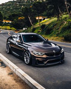 a bmw is driving down the road in front of some trees and bushes, with mountains in the background