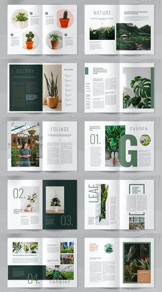 an open brochure with green plants on the front and back pages, all in different