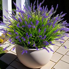 purple flowers are growing in a white planter