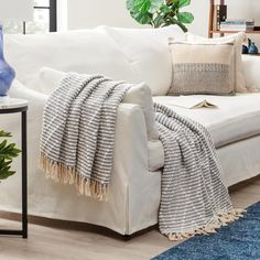 a living room with a white couch, blue rug and potted plant in the corner