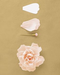 Crepe Paper Flowers Peonies, Paper Flowers Diy Wedding, Crepe Paper Flowers Diy, How To Make Crepe