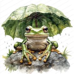 a frog sitting on top of a rock with an umbrella over it's head