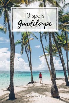 palm trees on the beach with text overlay that reads 13 spots guadelope