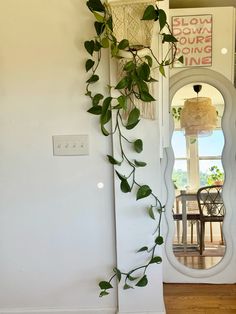 a houseplant is growing on the wall next to a mirror and table in front of it