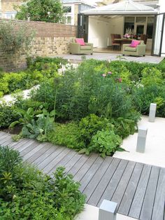 a garden with lots of green plants and flowers