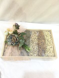 an assortment of nuts and succulents in a tray on a white tablecloth