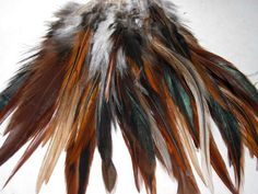 the feathers are brown, white and green