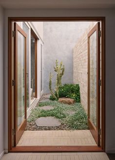 an open door leading to a courtyard with a cactus in the center and other plants on the ground