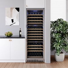 a wine cooler in the corner of a room with a potted plant next to it