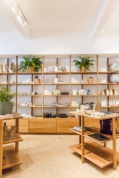 the inside of a shoe store with shelves full of shoes and plant pots on them