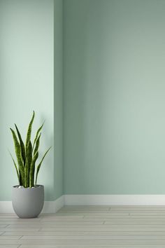 Oak Floor with Pistachio Green Wall Color Room Color Ideas Bedroom, Green Wall Color, Light Green Walls, Green Painted Walls, Yellow Bathroom Decor, Mint Green Walls, Mint Walls