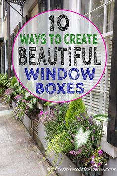 Window Box Flower Combinations: Flower Box Ideas Inspired By Charleston Window Boxes Flower Box Ideas, Landscaping Full Sun, Dirt Therapy, Impatiens Plant, Coral Bells Heuchera