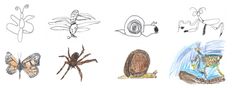 several different types of insects are shown in this drawing