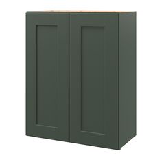 a green cabinet with two doors on the front and one door open to reveal something