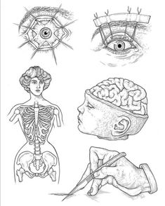 the human body and its structures are shown in this hand - drawn drawing, which shows how