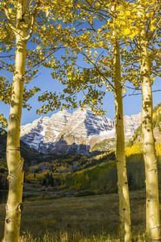 the mountains are covered in snow and yellow leaves, as well as some trees with green leaves on them