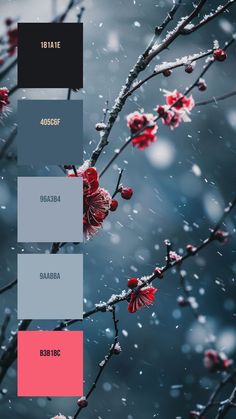 Colors:
181A1E
405C6F
96A3B4
9AABBA
B3B1BC Red Color Pallets, Snowy Background, Winter Color Palette, Red Blossoms, Red Colour Palette, Palette Art