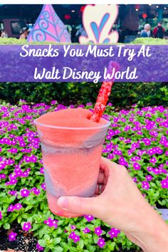 a hand holding up a pink drink in front of purple flowers with the words snacks you must try at walt world