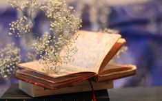 an open book sitting on top of a table next to a flower vase filled with baby's breath